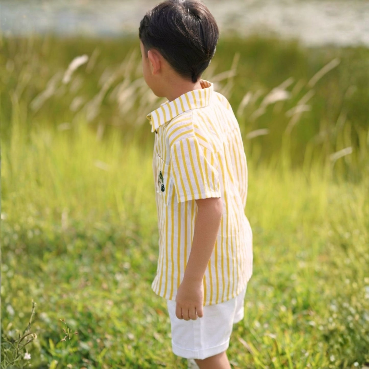Monster Wheels Yellow Stripes Shirt Boys