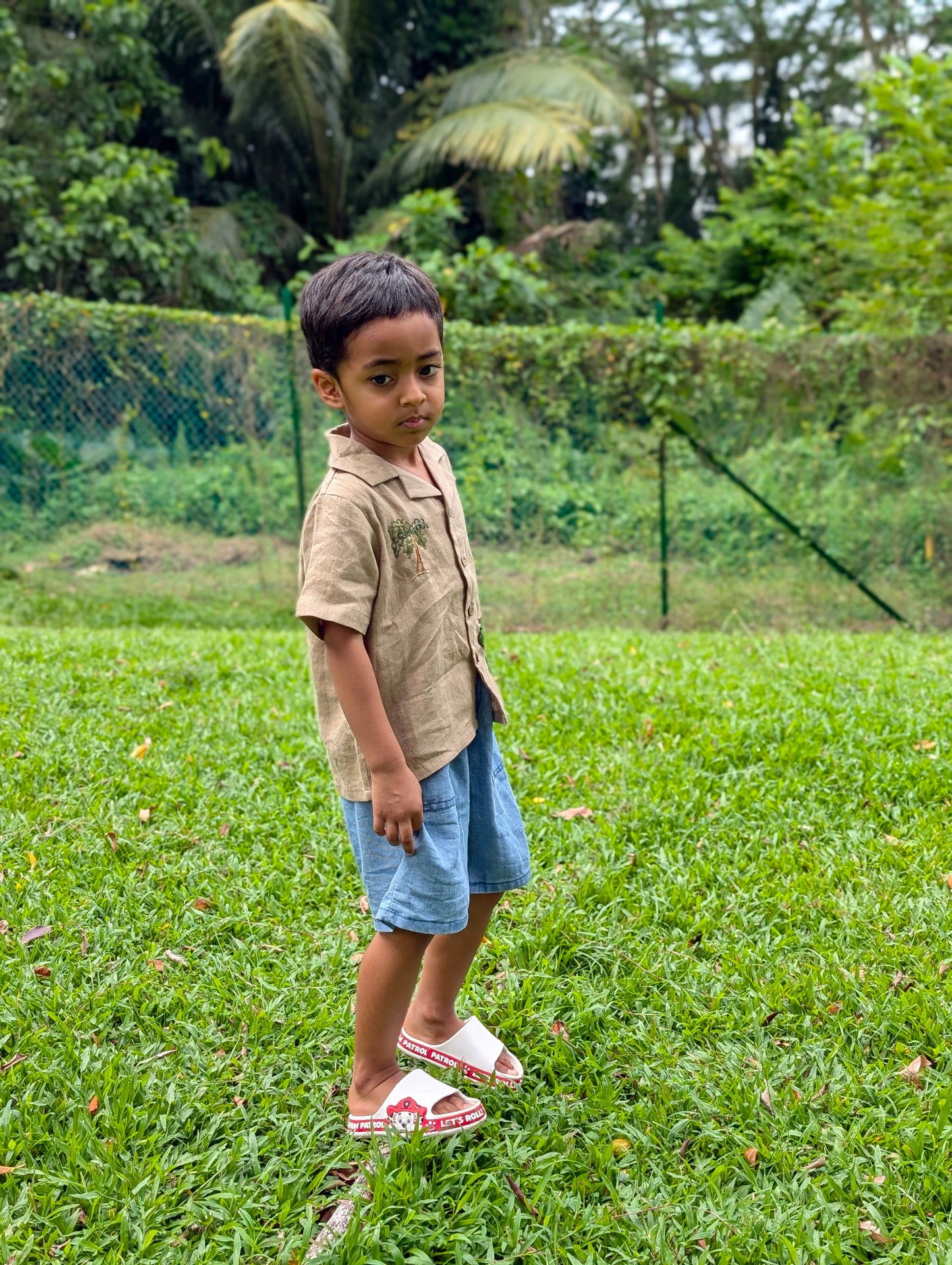 Brown Dinosaur Shirt