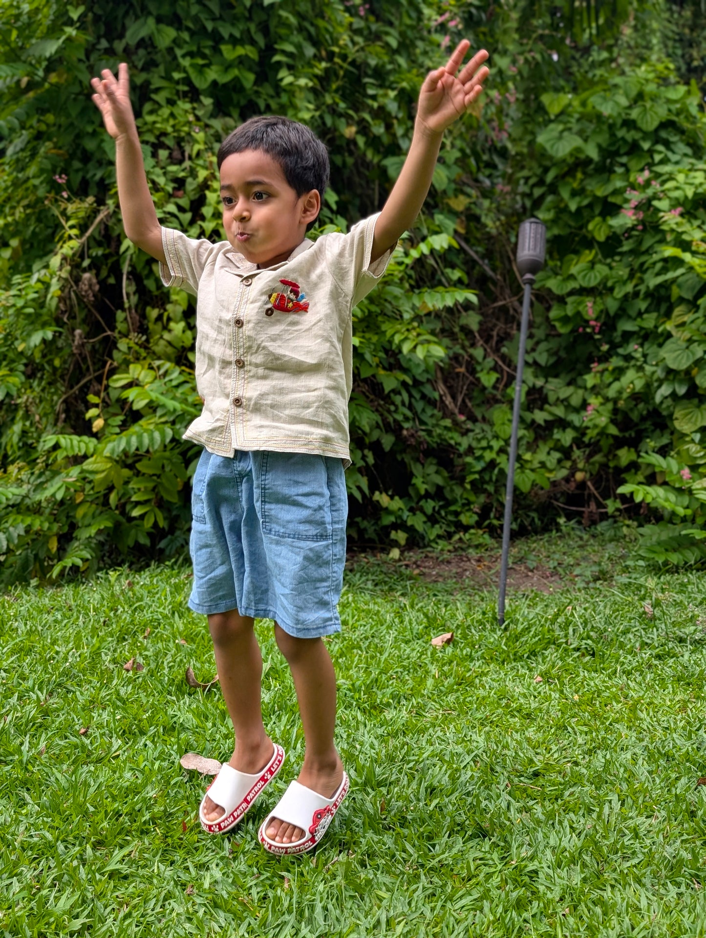 Airplane Frenzy Shirt