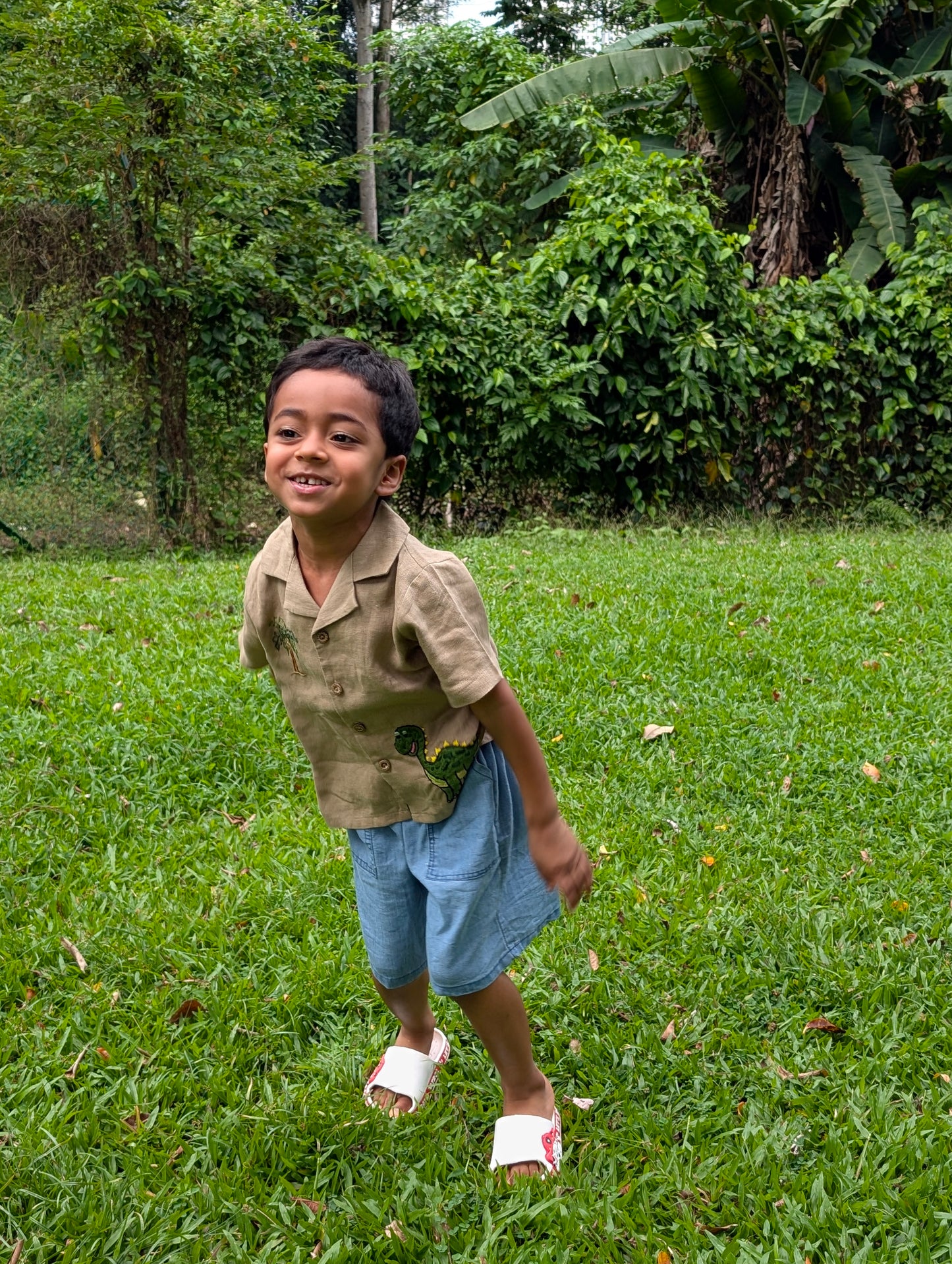 Brown Dinosaur Shirt
