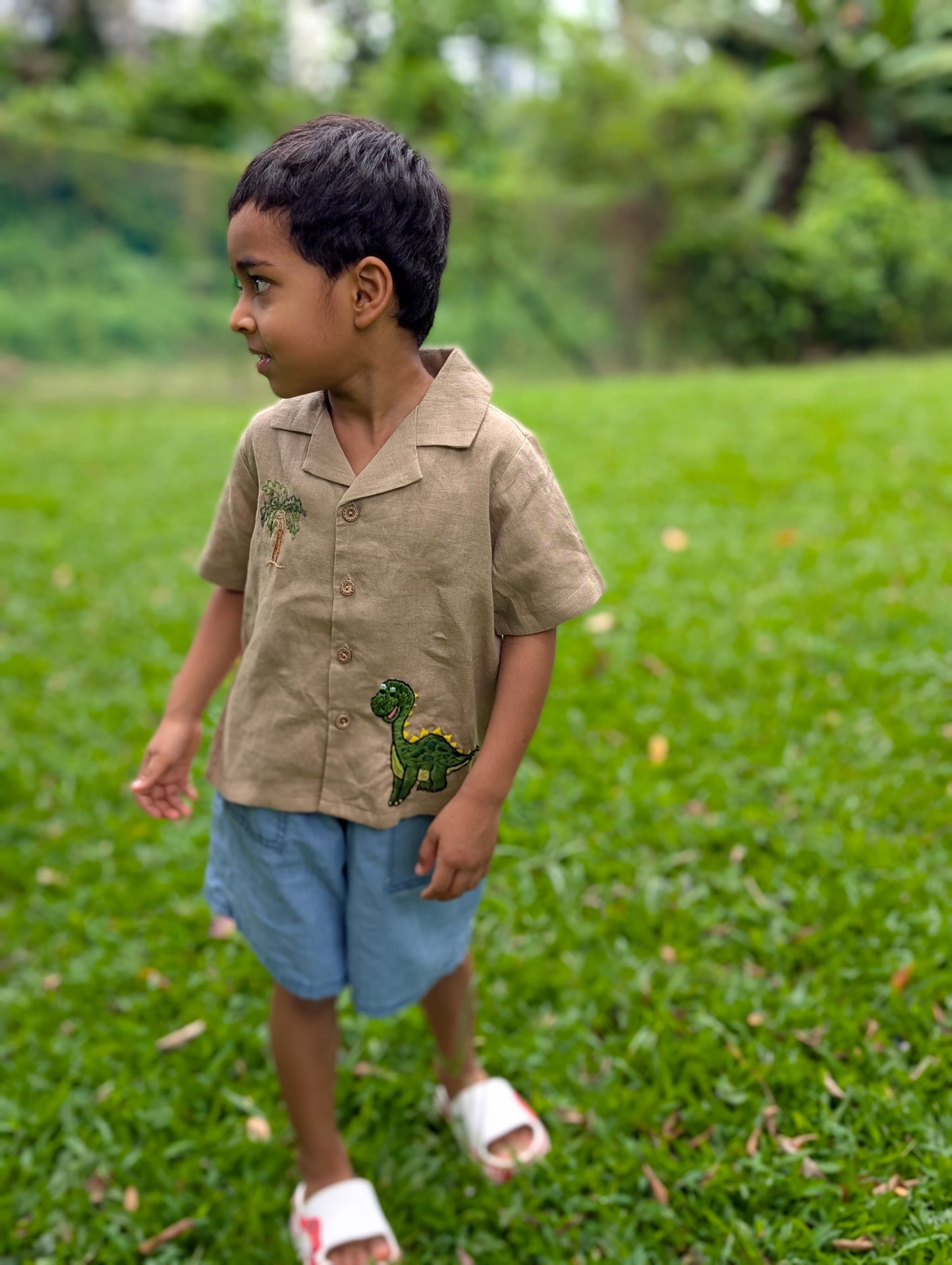 Brown Dinosaur Shirt