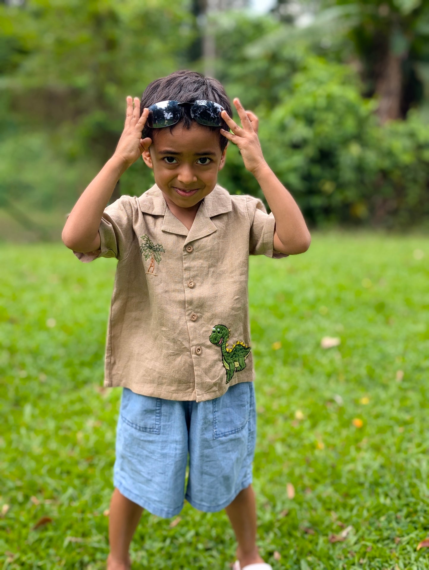 Brown Dinosaur Shirt