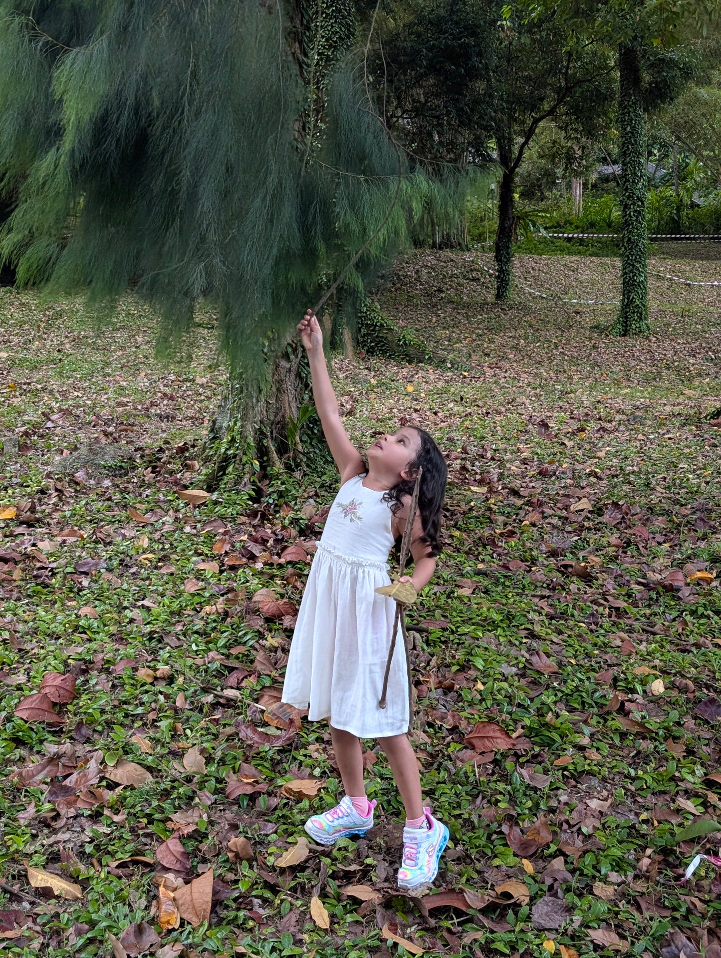 Pure Blossom Dress