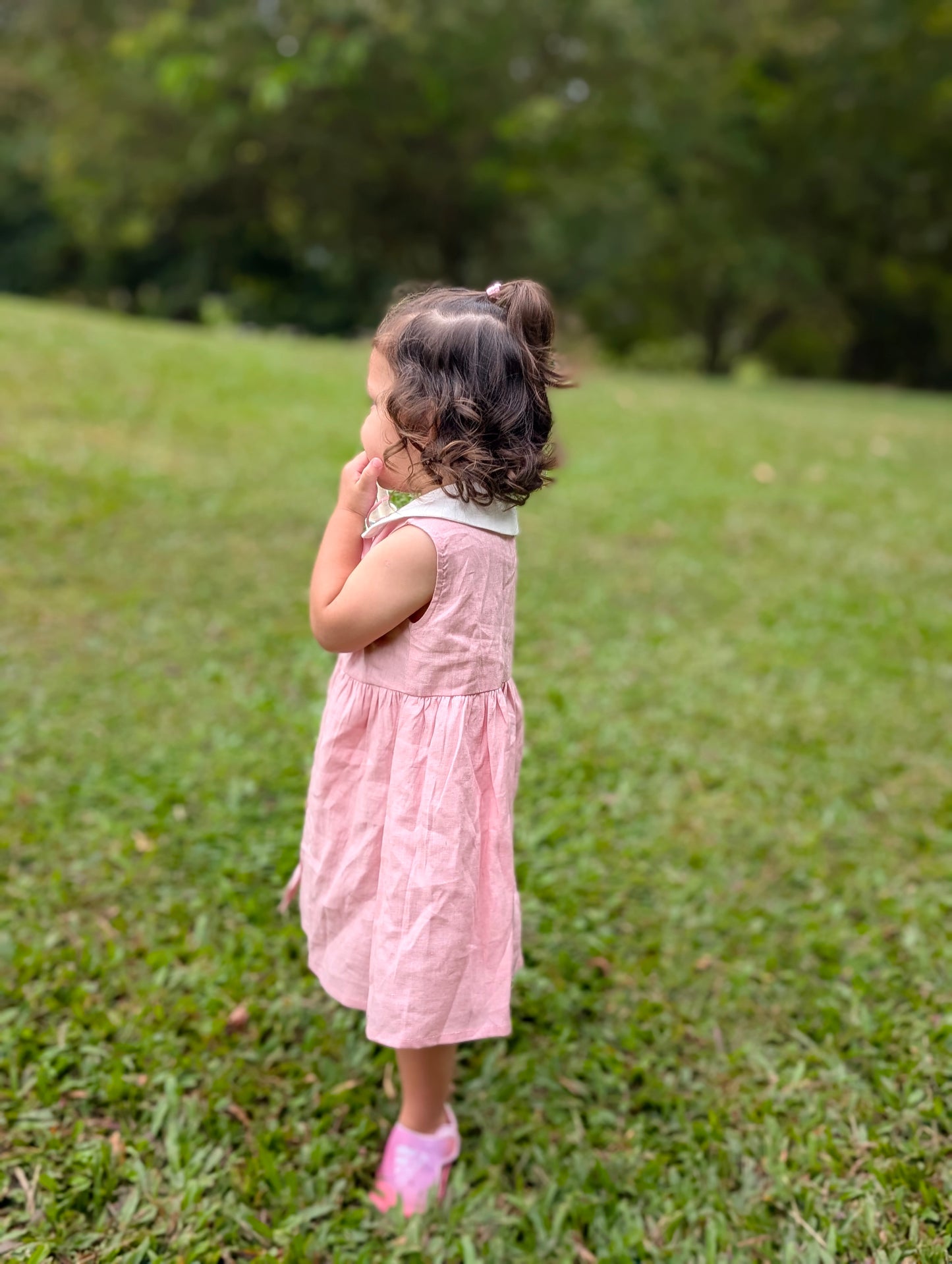 Collared Daisies Dress