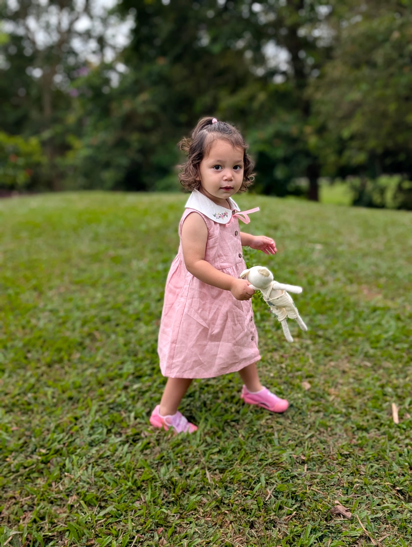 Collared Daisies Dress