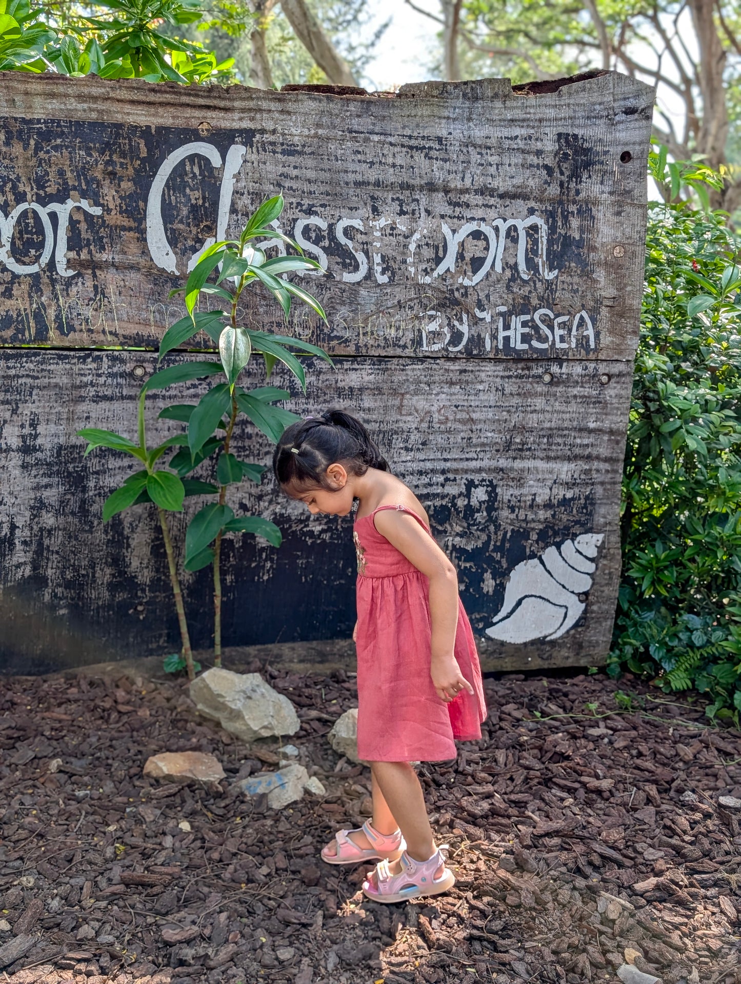 Salmon Floral Dreams