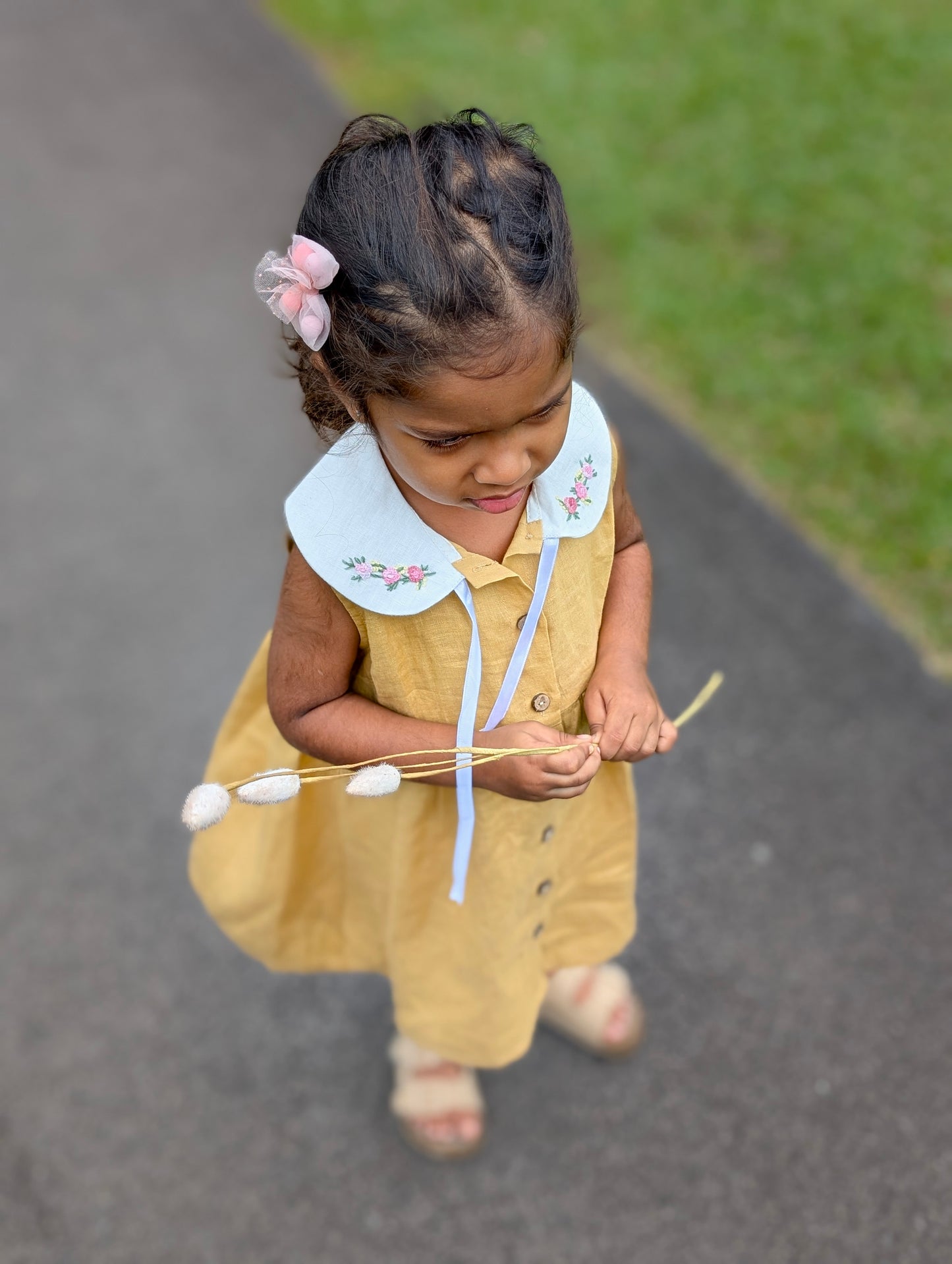 Collared Daisies Dress