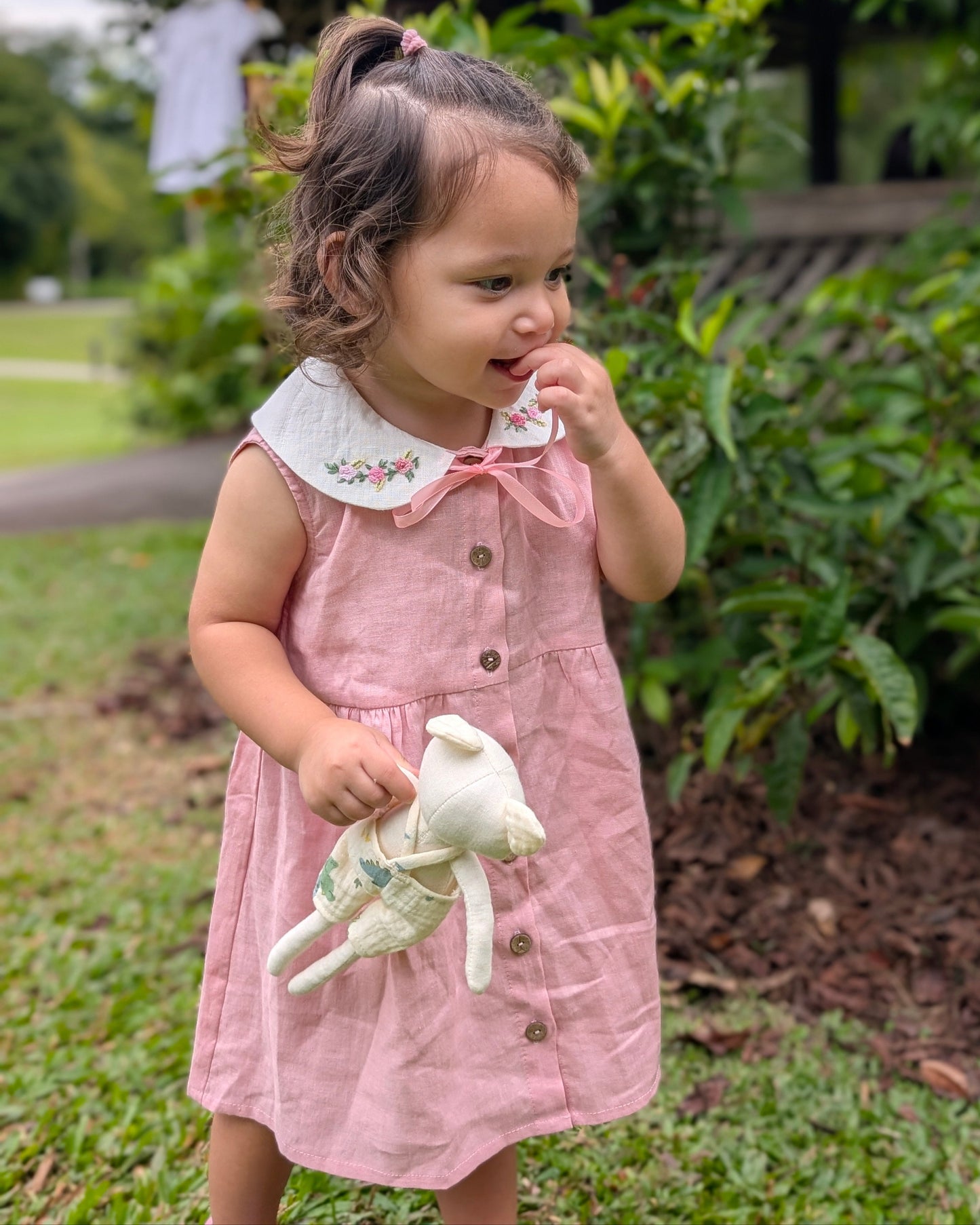 Collared Daisies Dress