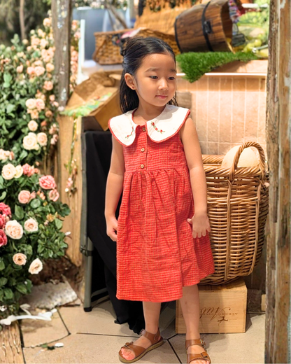 Peter Pan Red Plaid Dress