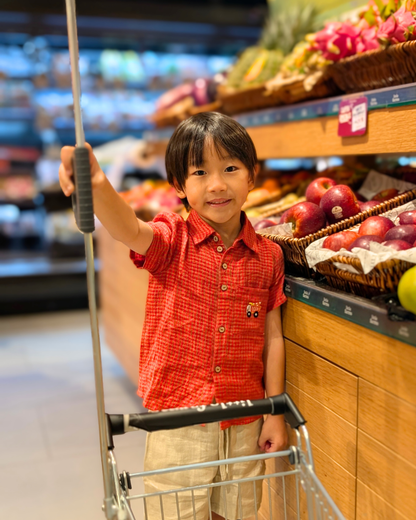 Red Plaid Monster Truck Shirt