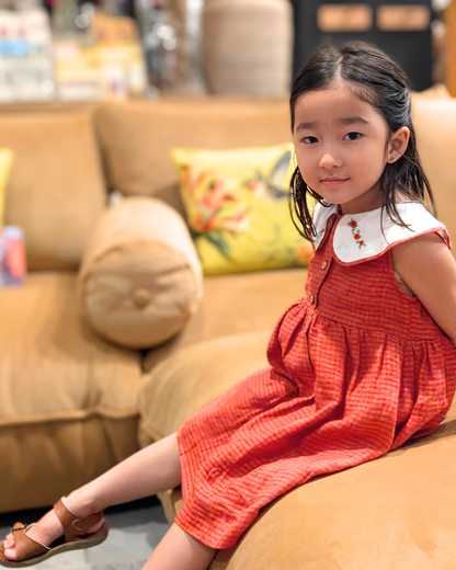 Peter Pan Red Plaid Dress