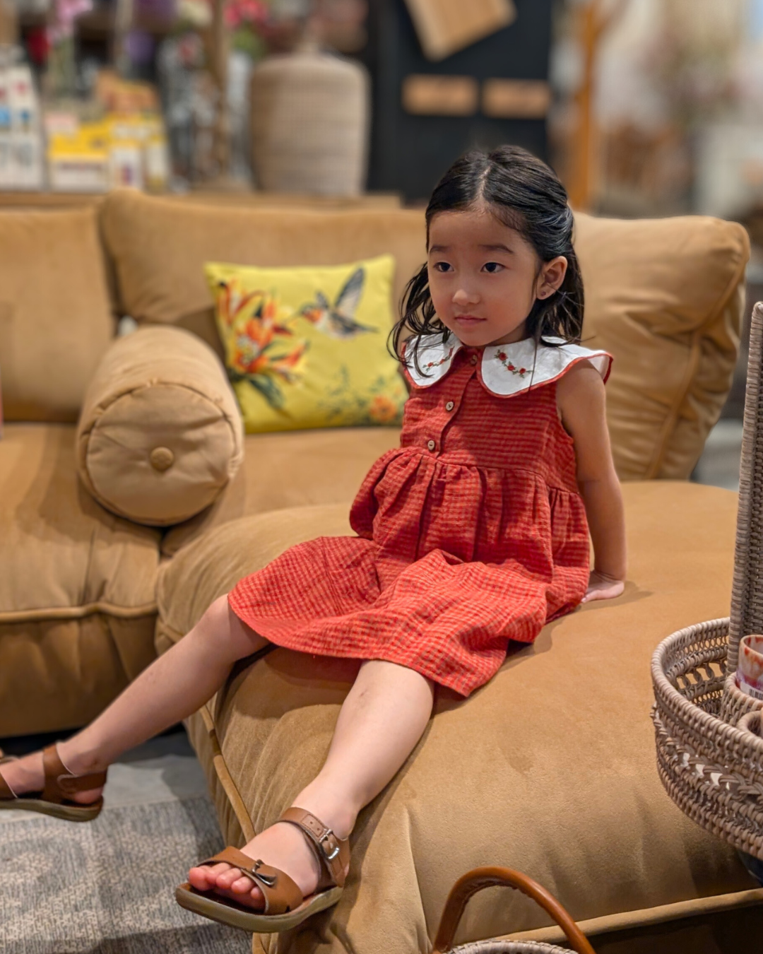 Peter Pan Red Plaid Dress